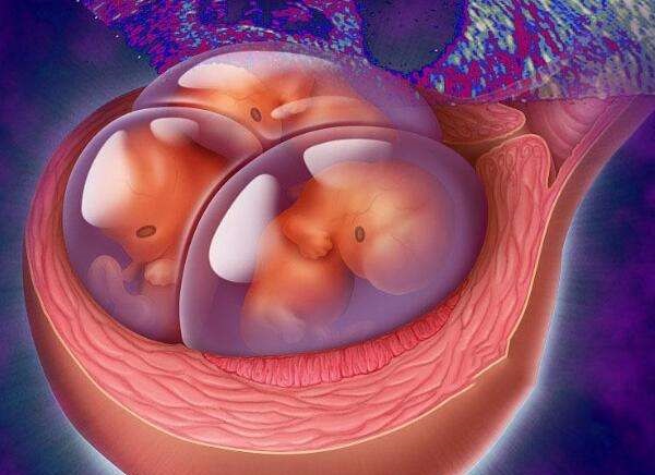 温州一医试管婴儿费用明细解读