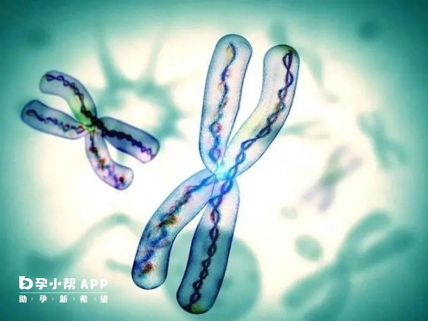 清宫图生男生女表算法溯源与科学性探讨