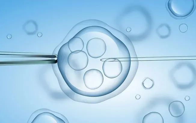 海外生殖中心冻卵促排方案解析