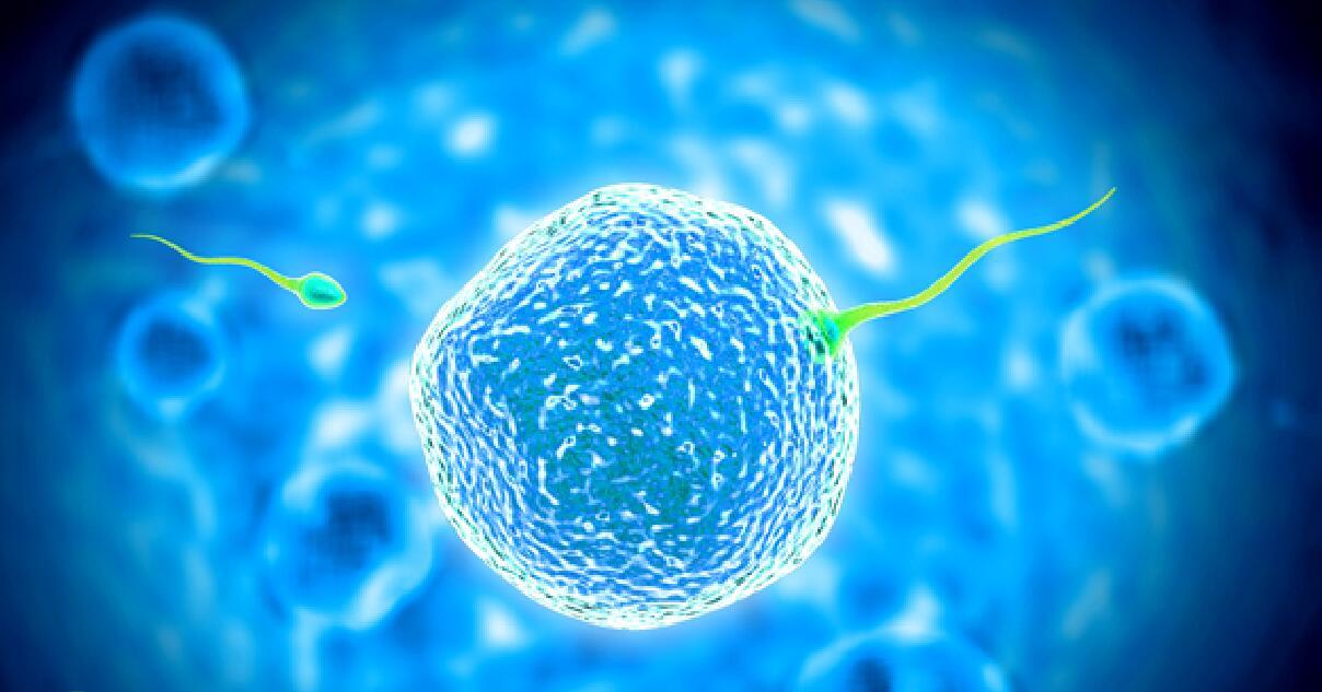 深圳市试管婴儿技术医院排名