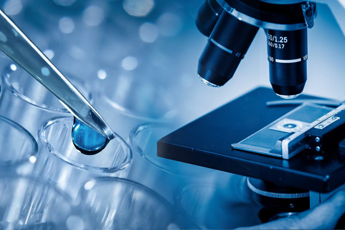 海外试管婴儿医院技术与选择