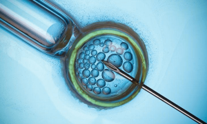 淮北地区辅助生殖技术现状与发展